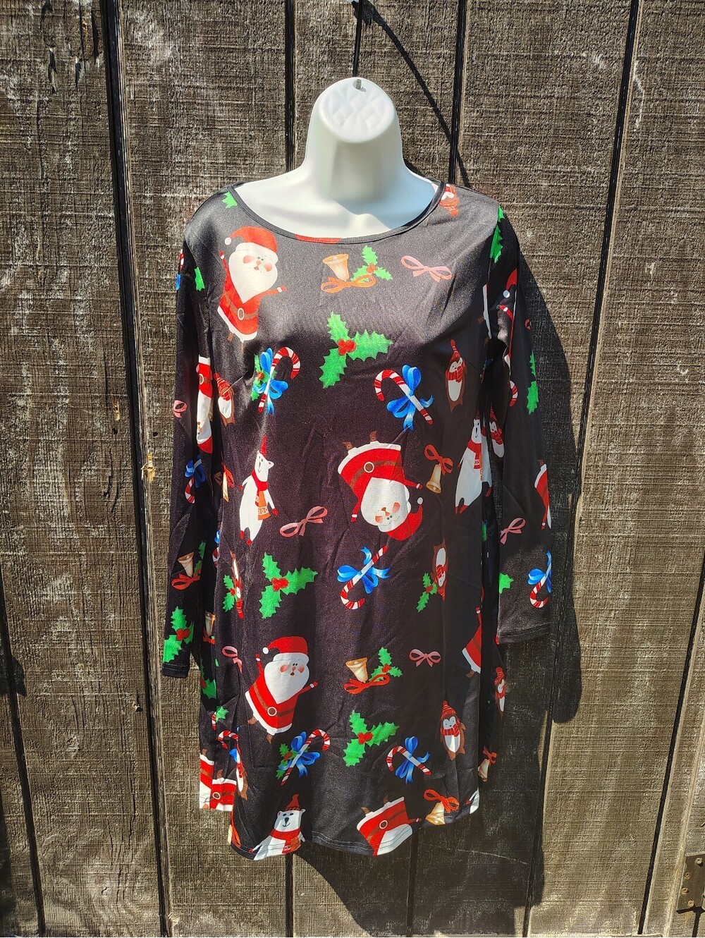 The World of Awardrobe Christmas Dress